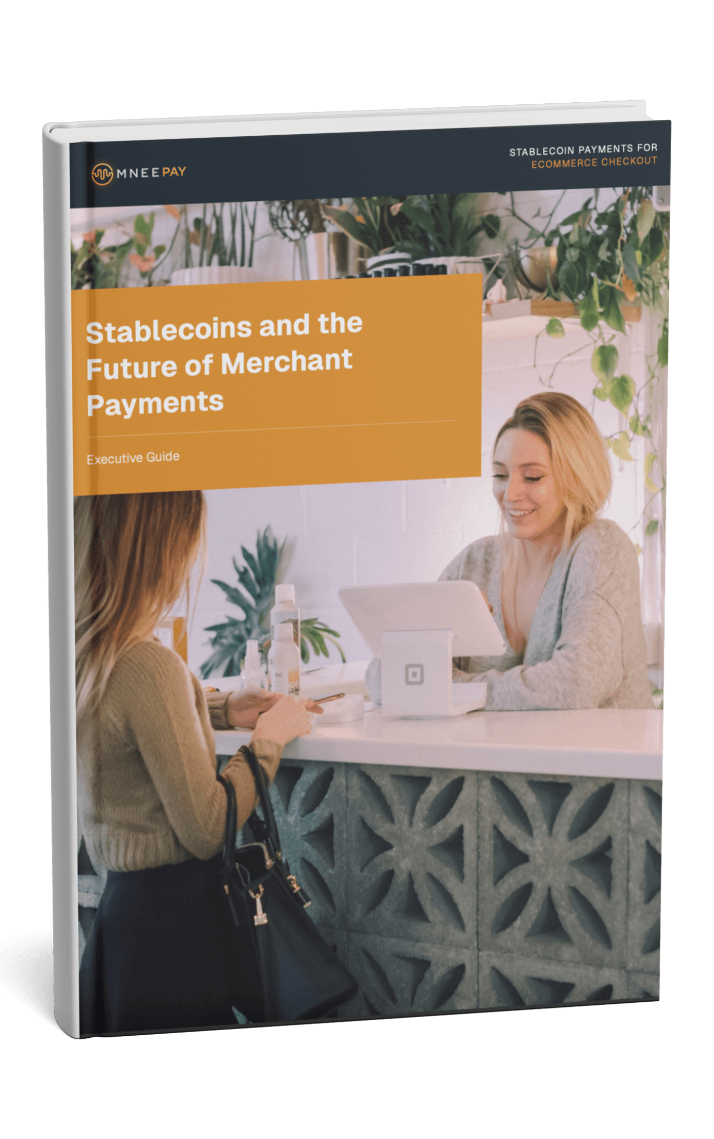 Stablecoins And The Future Of Merchant Payments – Free Guide